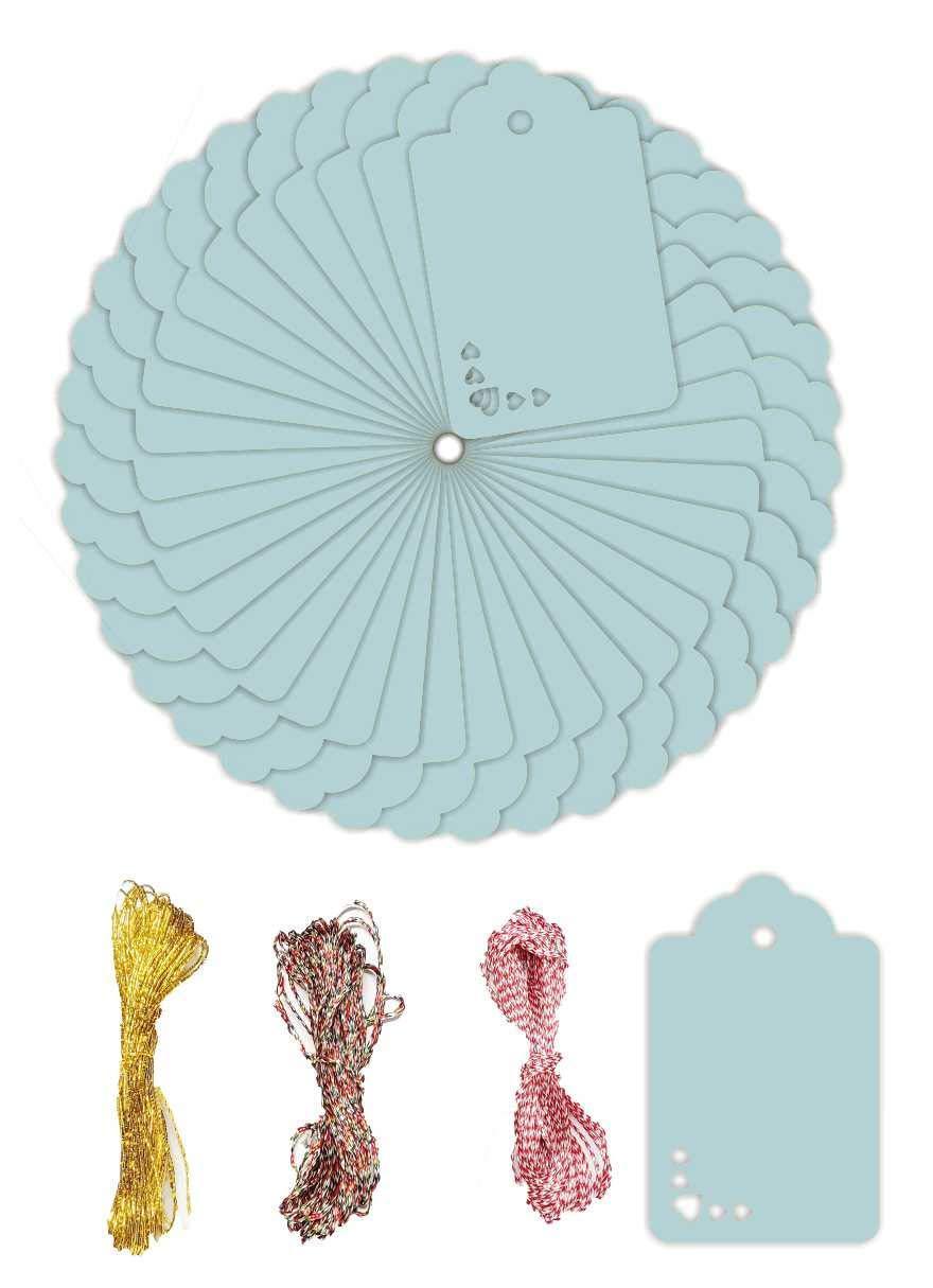 100pcs Premium oldrose Color Gift Tags Double-Sided Available Kraft Paper Price Tags with 100 Root Natural Jute Twine