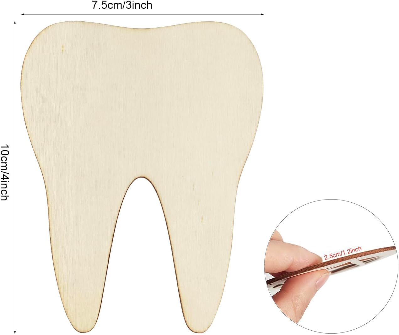 12 Pcs Wooden Tooth Shape Cutouts for DIY Craft | Unfinished Tooth Wooden Shapes