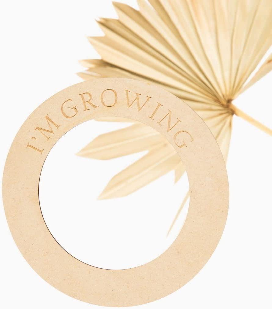 Haoser Round Ring Design Baby Monthly Milestone, Wooden Ring Age Marker Reusable and is Ideal for a Gifting.Baby Milestone Props - Haoser