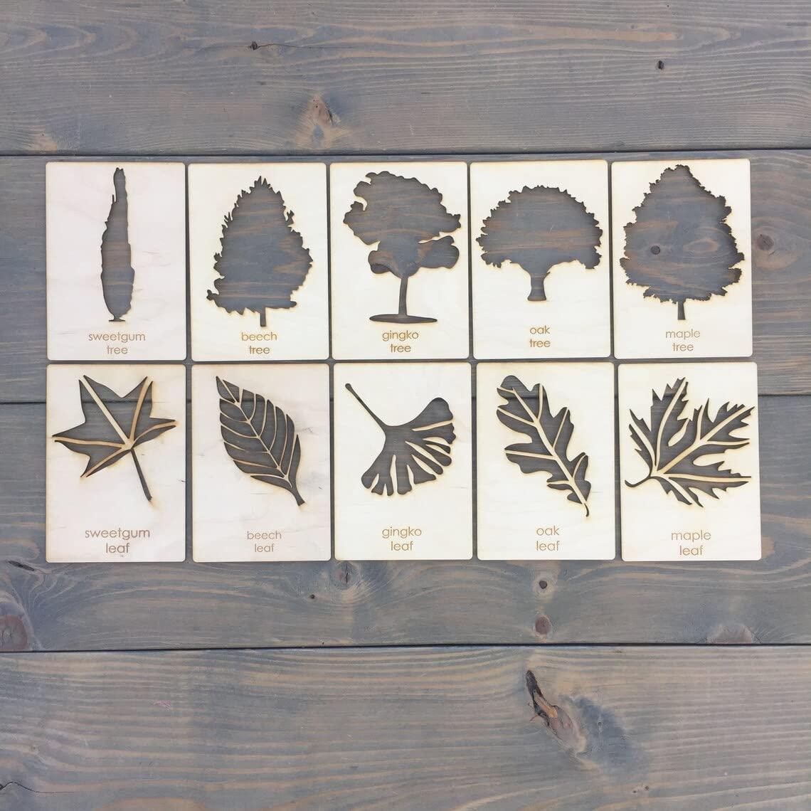 Haoser Tree Stencil Set // Leaf Stencil Set // Tree Stencils // Leaf Stencils|| Wooden Educational Toys for Kids,Stencils for kids3 Years or 2 or 4 Years Old - Haoser