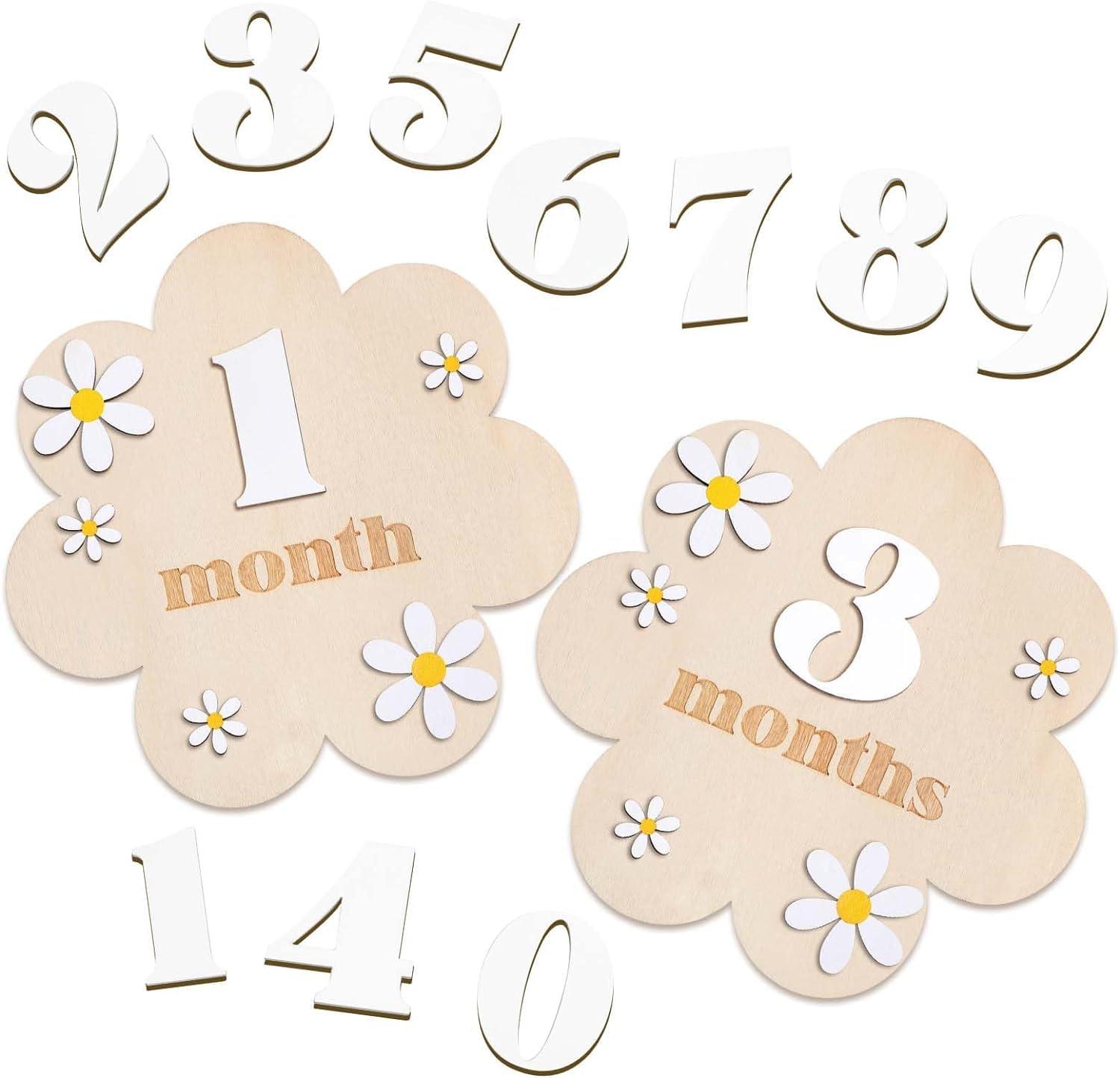 Haoser Monthly Baby Milestone Marker