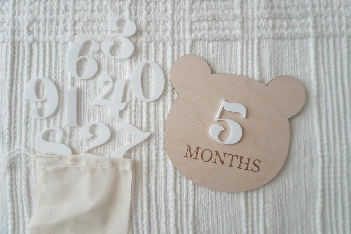 Teddy Bear Monthly Milestone Set, Baby Photo Prop, Wooden Baby Milestone