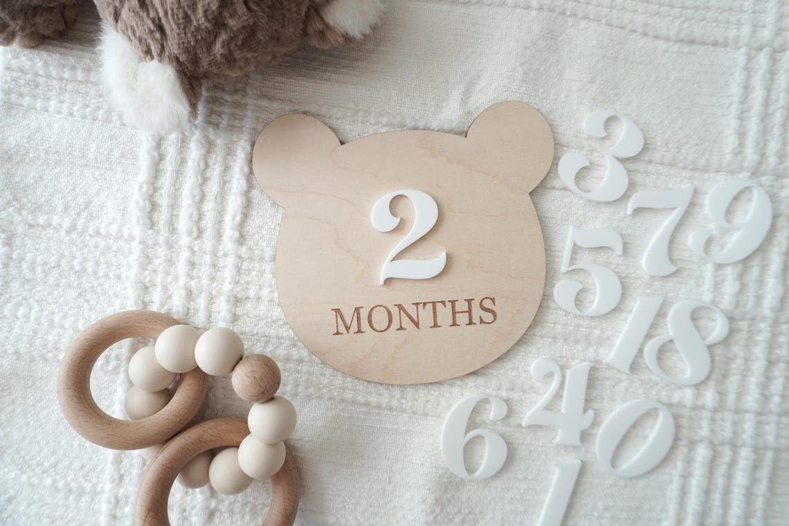 Teddy Bear Monthly Milestone Set, Baby Photo Prop, Wooden Baby Milestone