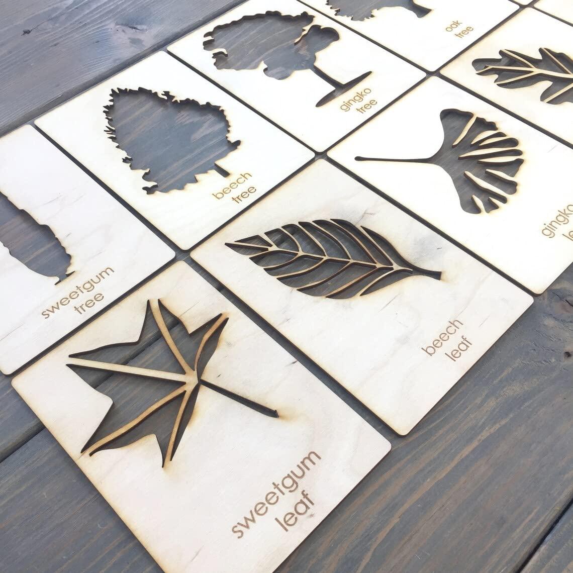 Haoser Tree Stencil Set // Leaf Stencil Set // Tree Stencils // Leaf Stencils|| Wooden Educational Toys for Kids,Stencils for kids3 Years or 2 or 4 Years Old - Haoser