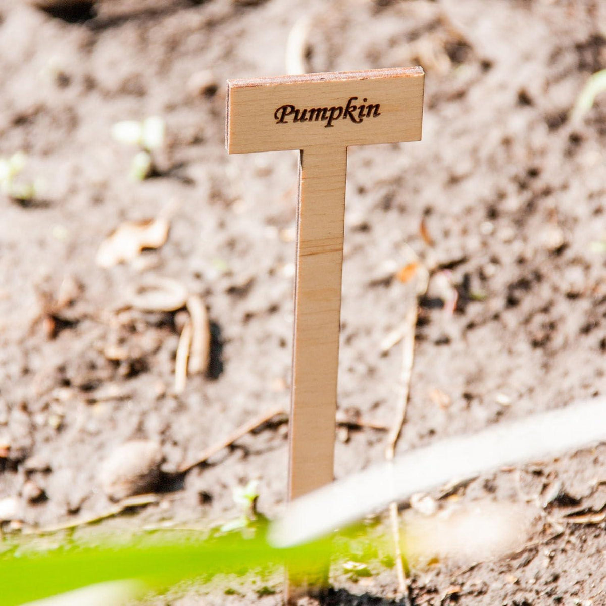 Curious Button Unfinished Wooden Customized Garden Marker, Engraved Plant Stakes for Personalized Plant Identification, Ideal for Herbs, Vegetable Markers, Vegetables, and Flowers - Pack of 6 - Haoser
