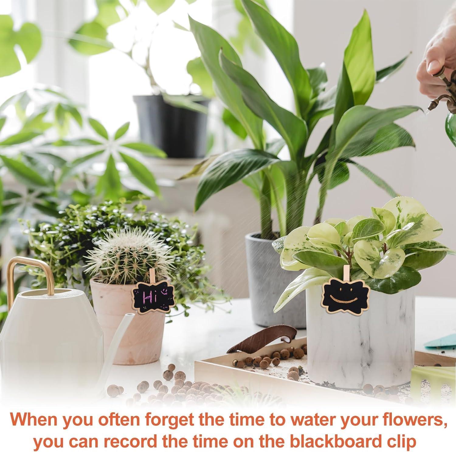 Haoser 12 Mini Retangle Chalkboard Blackboard with Wooden Clip Message Board Signs and Labels Clips - Haoser