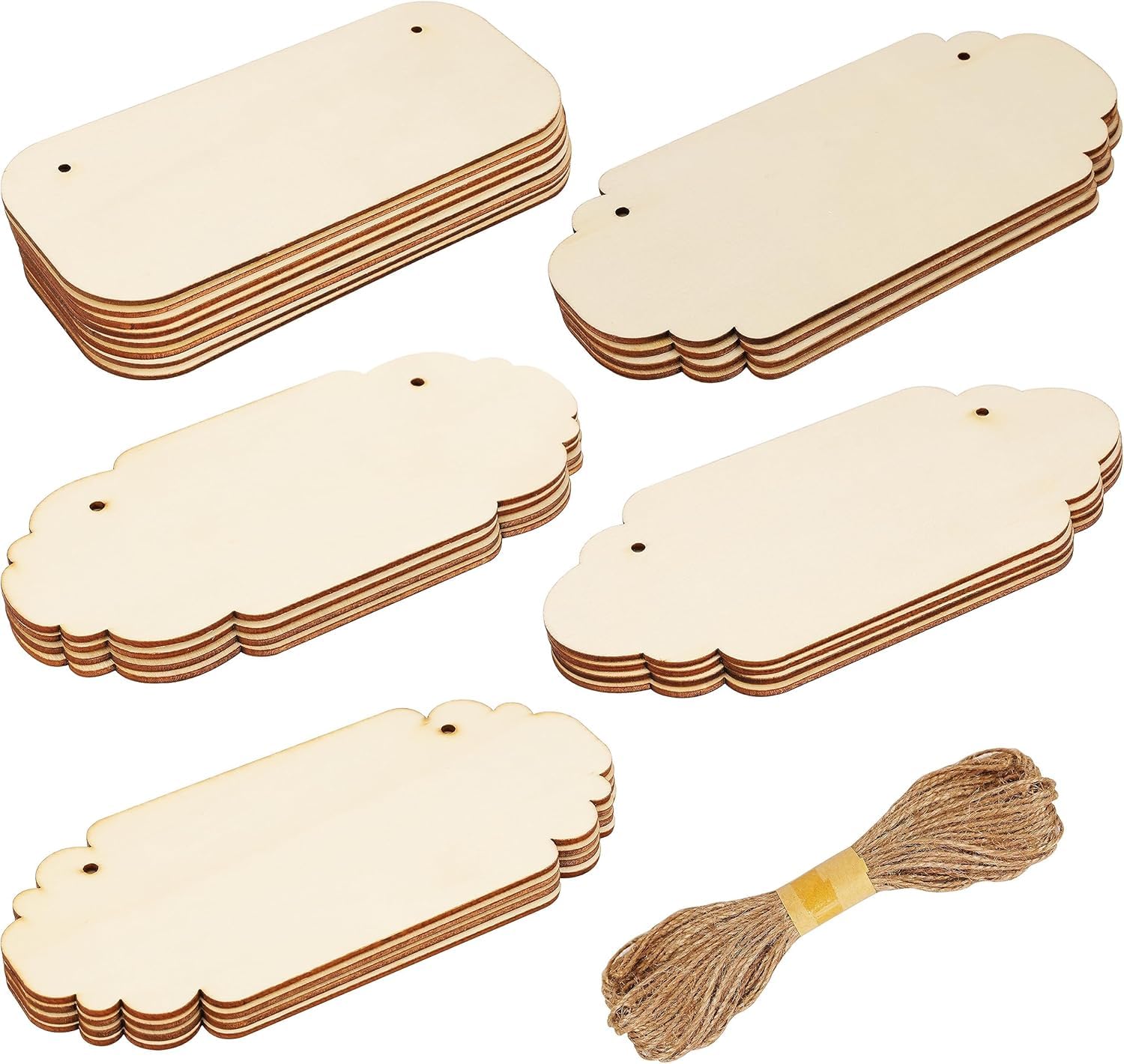 24 Pack of Assorted Blank Unfinished Wood Plaques - Wooden Plywood Craft Cutouts with Hanging Rope