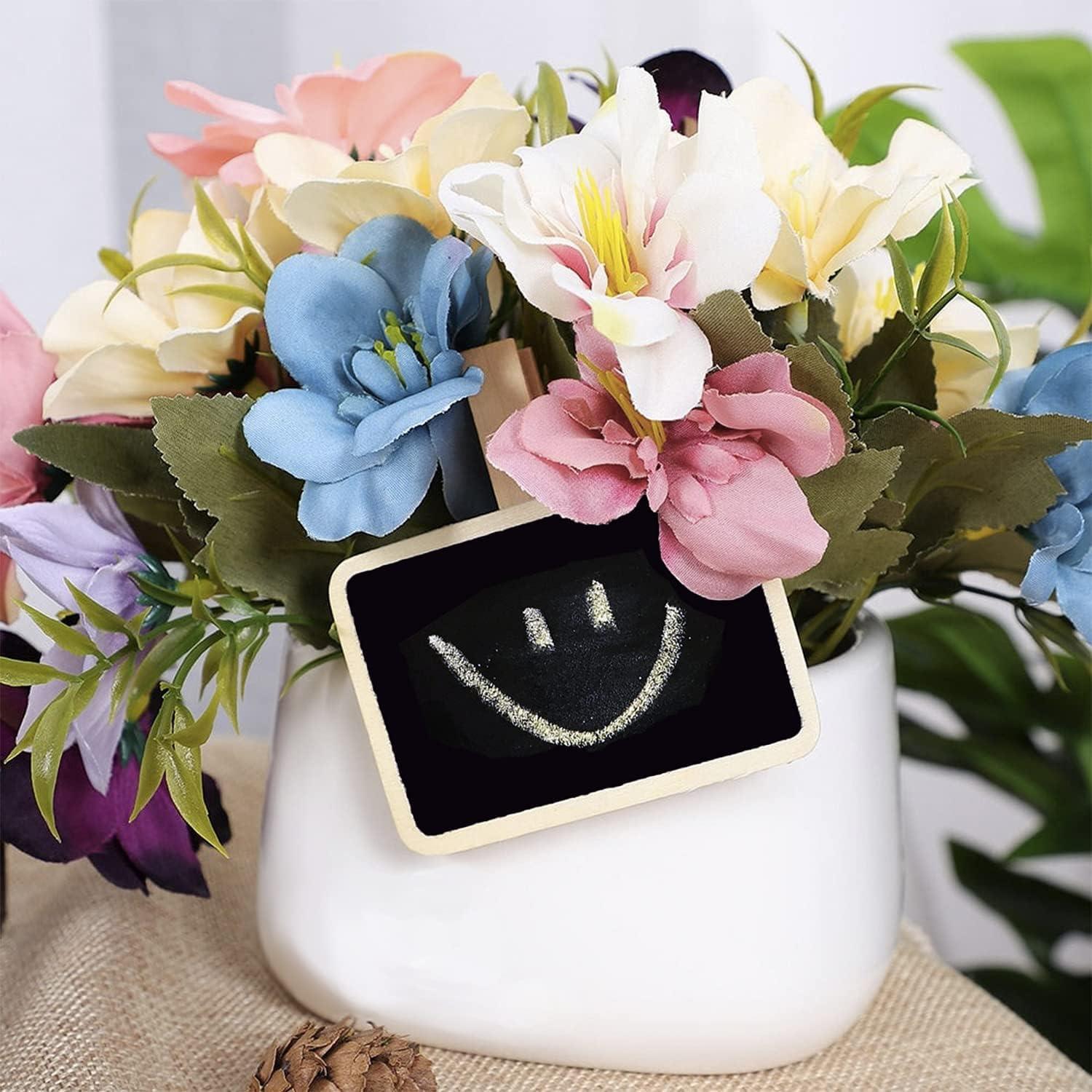 Haoser 12 Mini Retangle Chalkboard Blackboard with Wooden Clip Message Board Signs and Labels Clips|Mini Chalkboard Signs for Food, Memo, Note Taking, Label Signs, Party - 2.7X2 in - Haoser