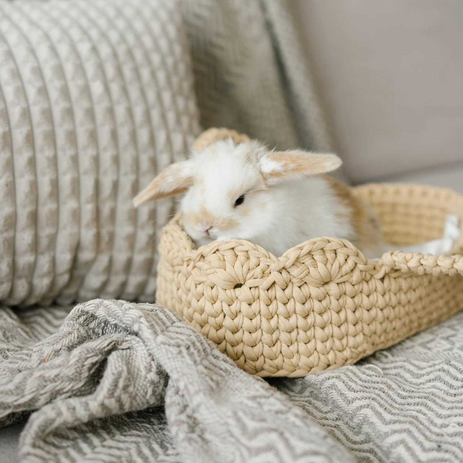 Haoser 2 Sizes Natural Wooden Basket Bottom, 7.8 5.9 Inch Circle Blank Crochet Basket Wood Base for DIY Basket Weaving Supplies Craft Making Home Decoration, Crochet Basket Wood Base. - Haoser