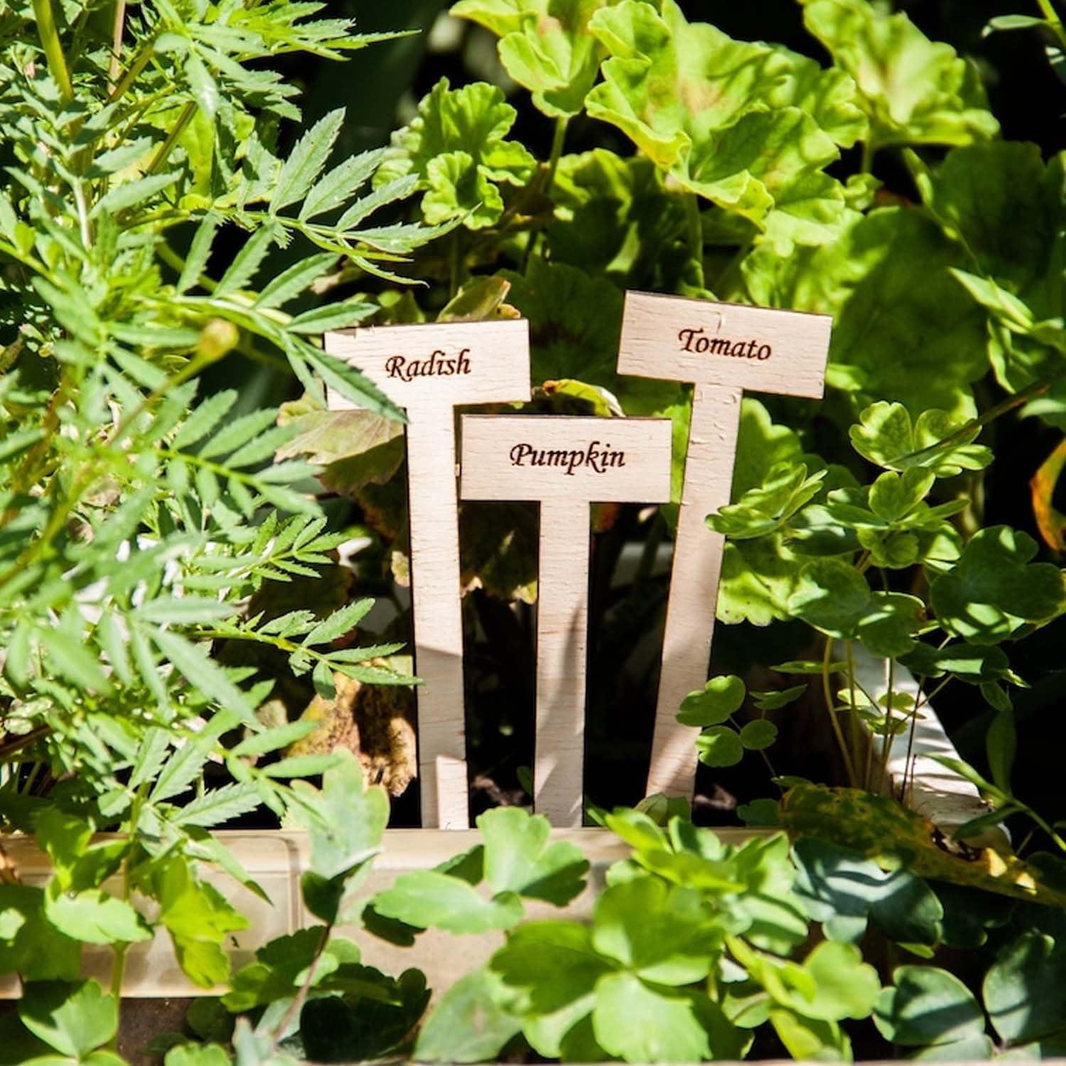 Curious Button Unfinished Wooden Customized Garden Marker, Engraved Plant Stakes for Personalized Plant Identification, Ideal for Herbs, Vegetable Markers, Vegetables, and Flowers - Pack of 6 - Haoser