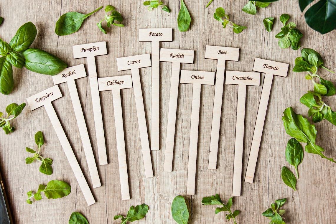 Curious Button Unfinished Wooden Customized Garden Marker, Engraved Plant Stakes for Personalized Plant Identification, Ideal for Herbs, Vegetable Markers, Vegetables, and Flowers - Pack of 6 - Haoser