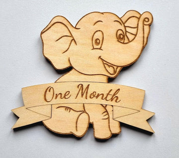Elephant Interchangeable Baby Milestone Plaque