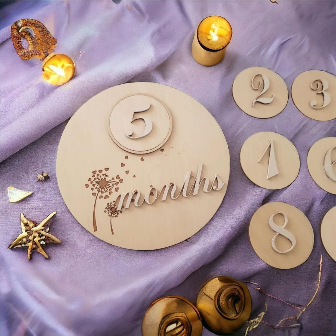 Set 13 Wooden Baby Milestone Plaque Baby Monthly Milestone