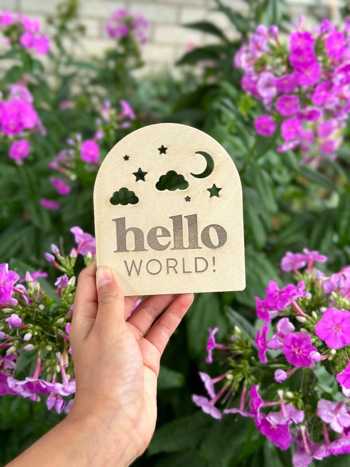 Haoser Monthly Baby Milestones Moon, Stars and Clouds