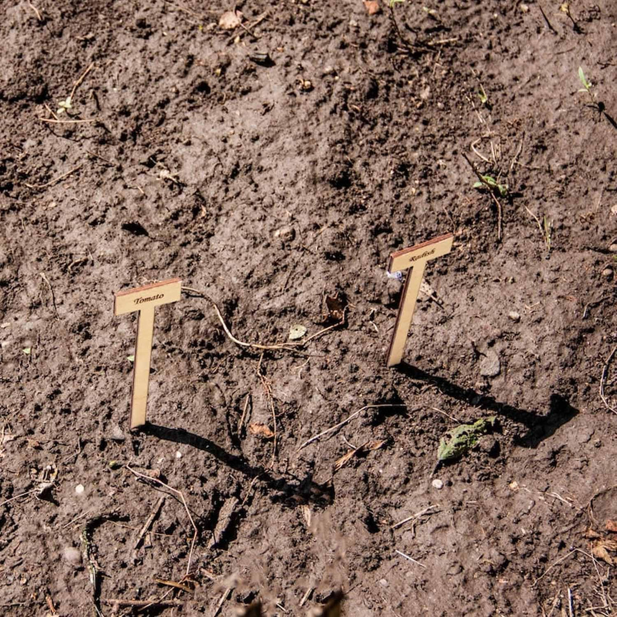 Curious Button Unfinished Wooden Customized Garden Marker, Engraved Plant Stakes for Personalized Plant Identification, Ideal for Herbs, Vegetable Markers, Vegetables, and Flowers - Pack of 6 - Haoser