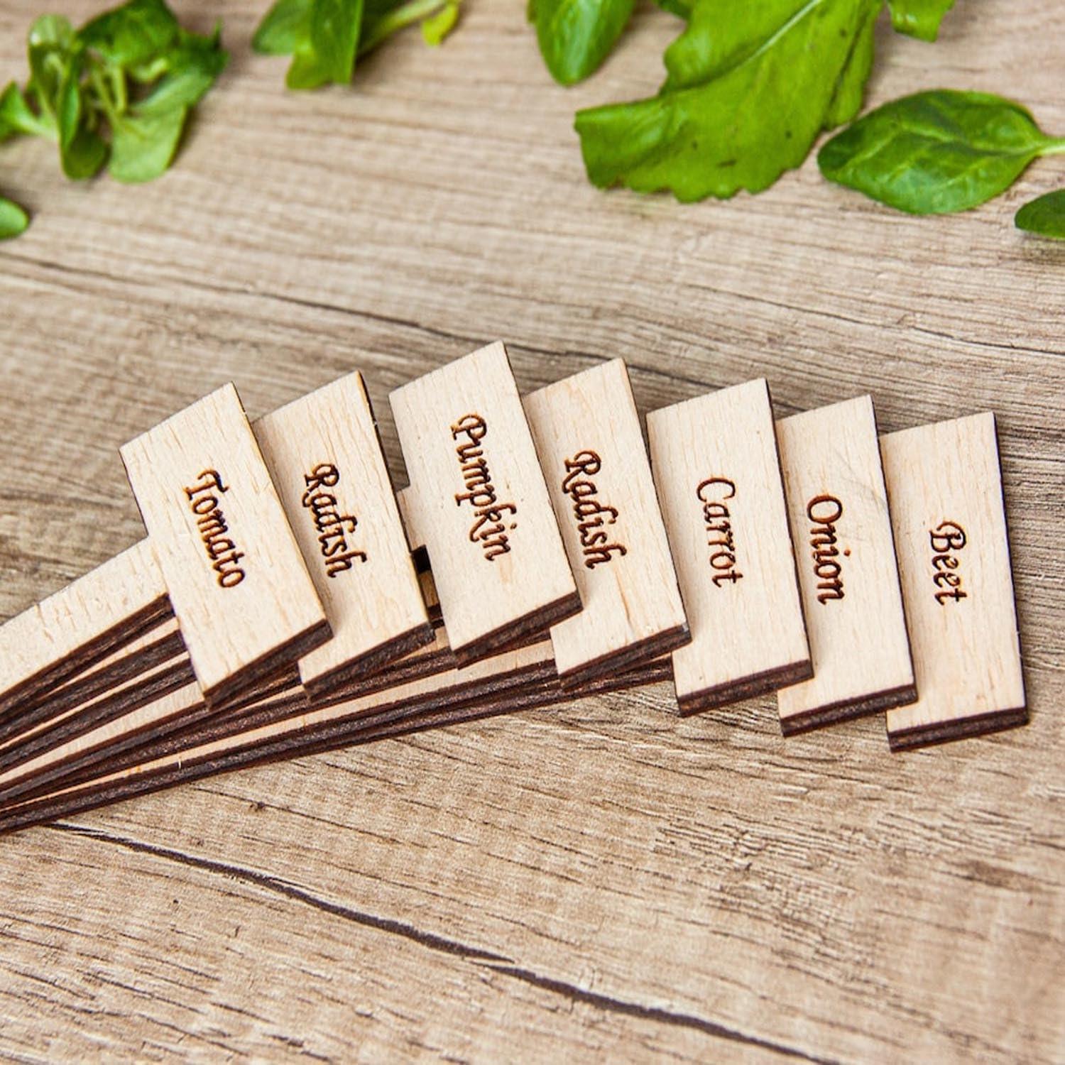 Curious Button Unfinished Wooden Customized Garden Marker, Engraved Plant Stakes for Personalized Plant Identification, Ideal for Herbs, Vegetable Markers, Vegetables, and Flowers - Pack of 6 - Haoser