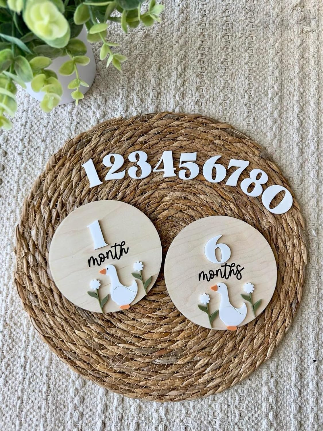 Pack of 2 Goose Monthly Milestone Markers | Baby Wooden Milestone