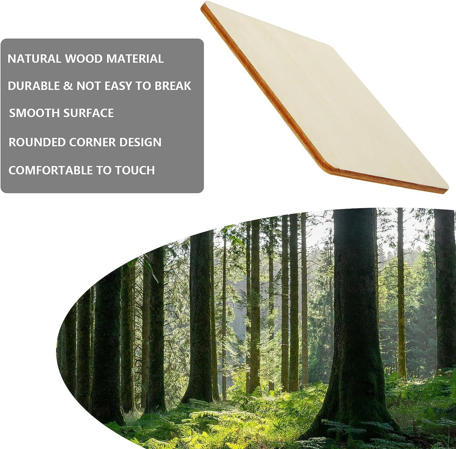 Haoser 30 Pack Unfinished Wood Squares for Crafts,Unfinished Squares MDF Cutouts for Art and Craft for Resin Art, Pyrography, Painting (2,3, 4 in Sizes) - Haoser