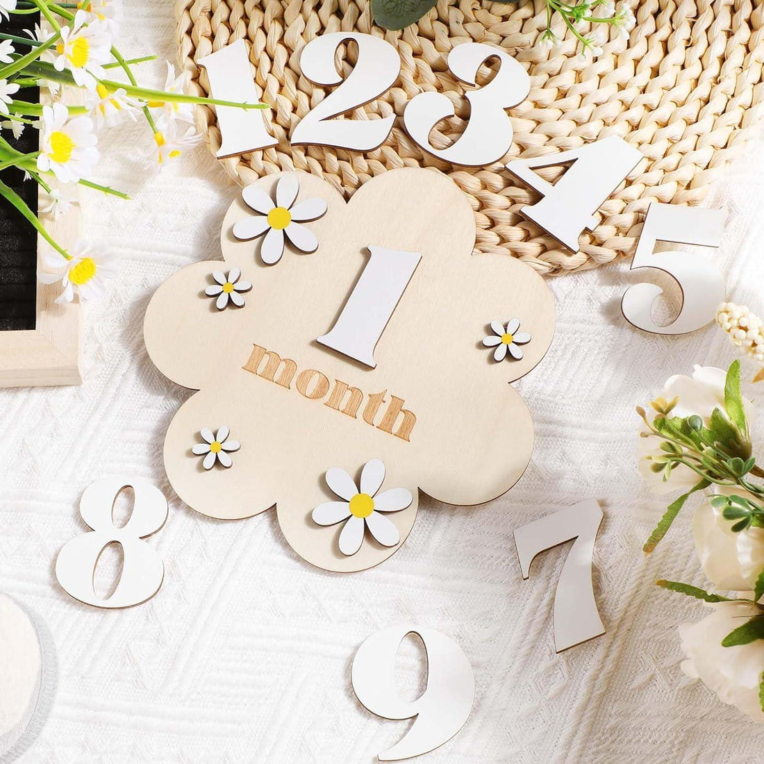 Haoser Monthly Baby Milestone Marker