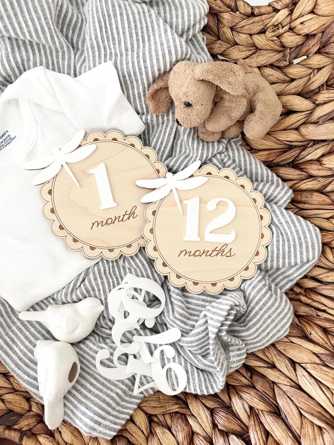3D Monthly Milestone Discs for Baby Photos – Wooden Dragonfly Engraved