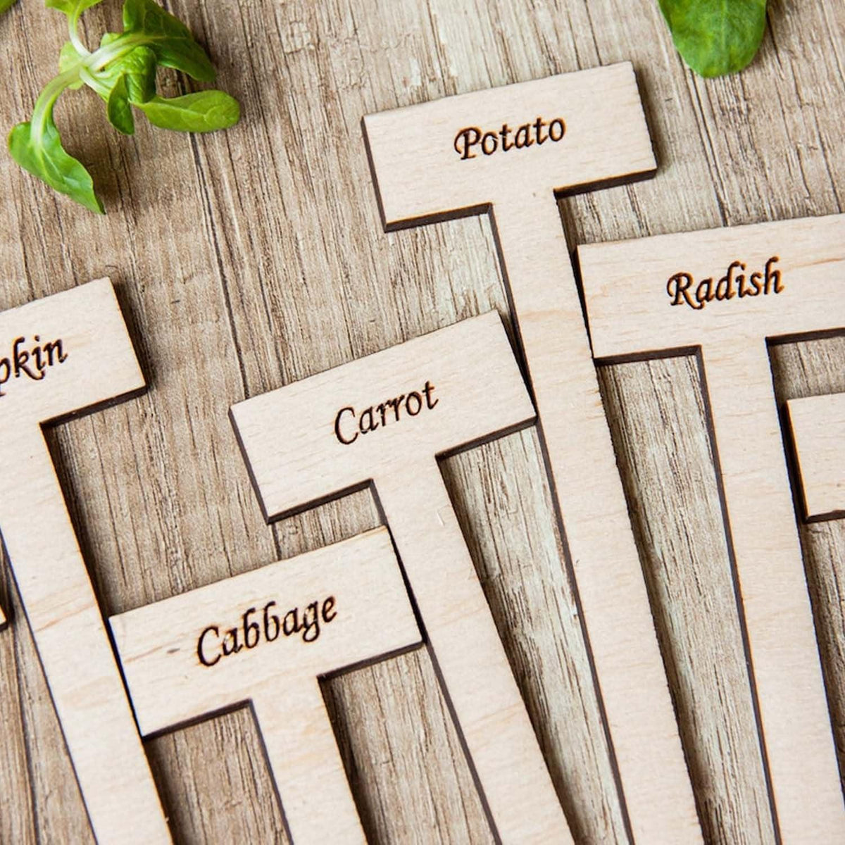 Curious Button Unfinished Wooden Customized Garden Marker, Engraved Plant Stakes for Personalized Plant Identification, Ideal for Herbs, Vegetable Markers, Vegetables, and Flowers - Pack of 6 - Haoser