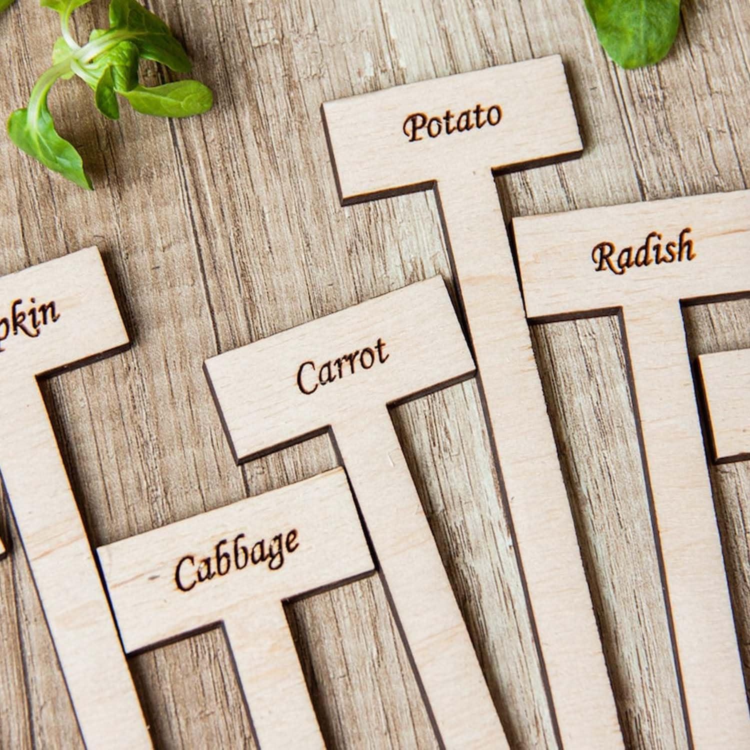 Curious Button Unfinished Wooden Customized Garden Marker, Engraved Plant Stakes for Personalized Plant Identification, Ideal for Herbs, Vegetable Markers, Vegetables, and Flowers - Pack of 6 - Haoser