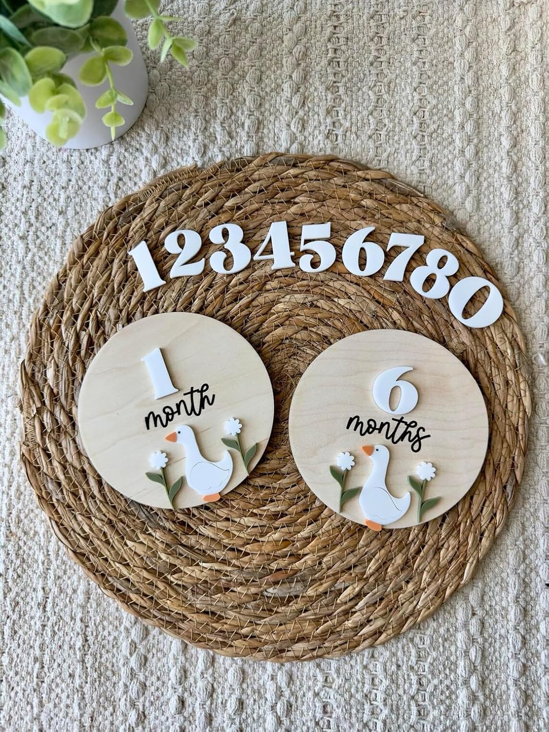 Pack of 2 Goose Monthly Milestone Markers | Baby Wooden Milestone